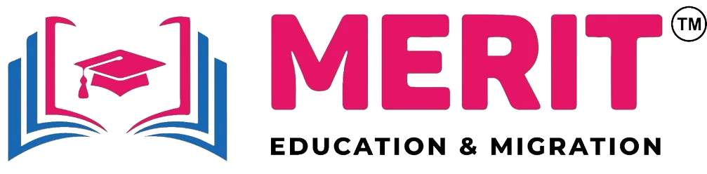 Merit Services